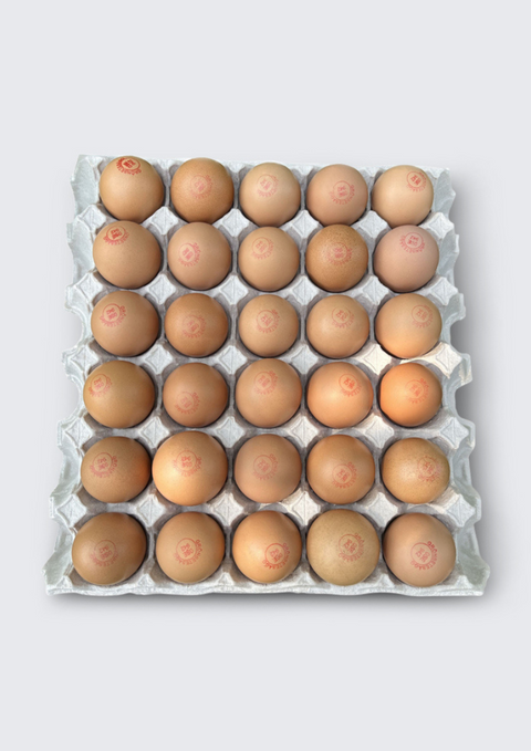 Grönbetesägg EKO