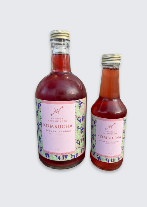 Kombucha Svartvinbär
