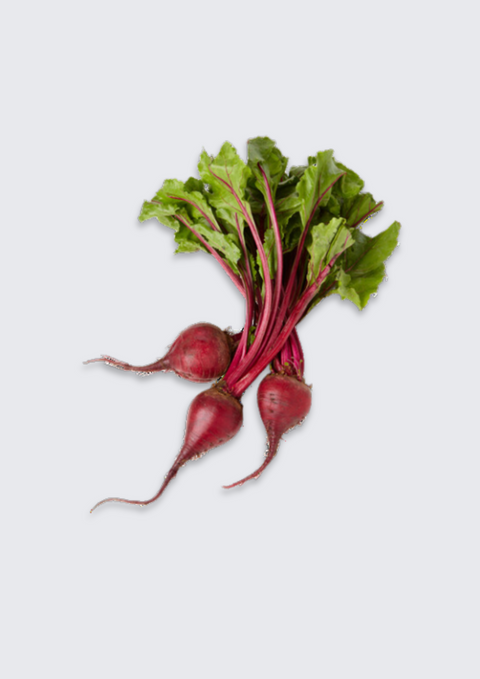Rödbetor 500g EKO