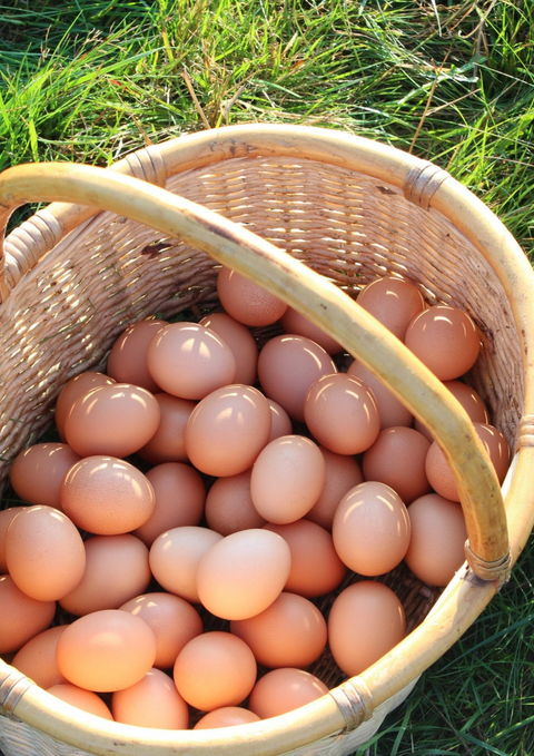 Grönbetesägg EKO