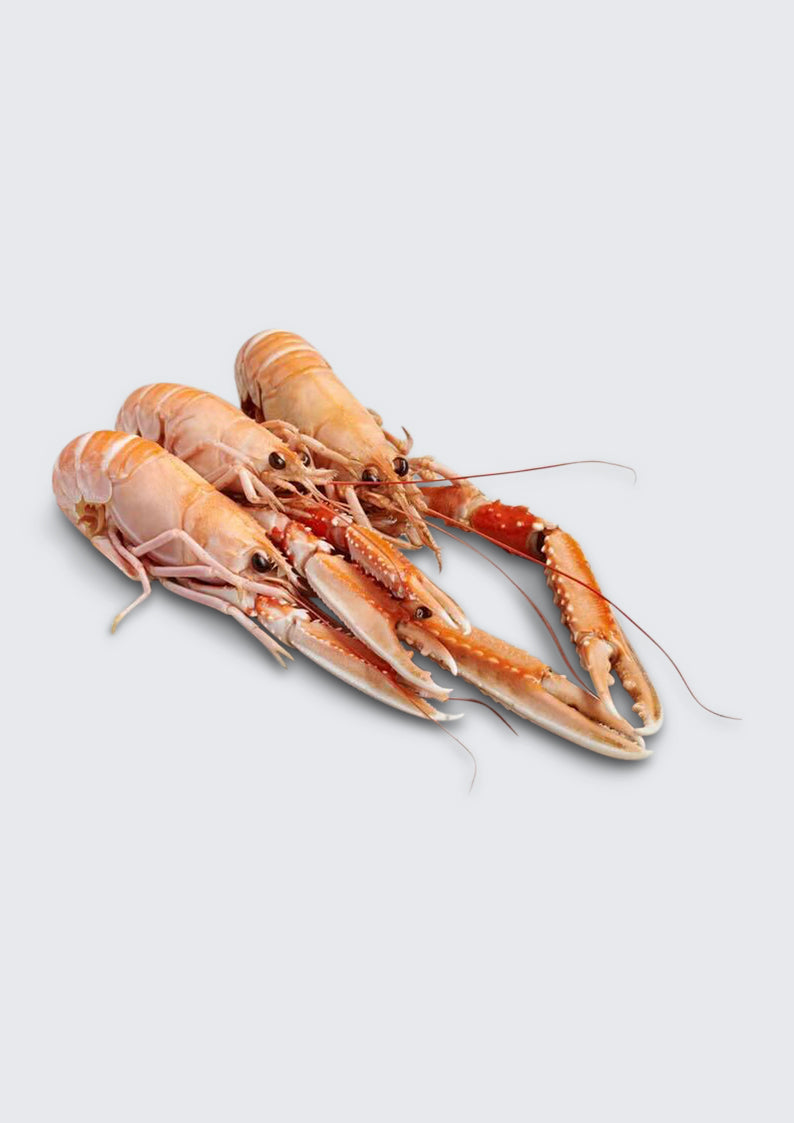 Färska havskräftor från Kalmar Fisk & Skaldjur 1 kg - XL